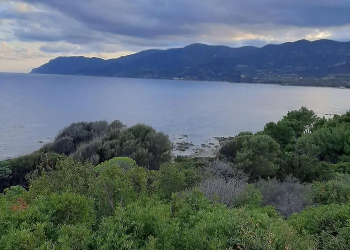 Cristallina- Marina Di *